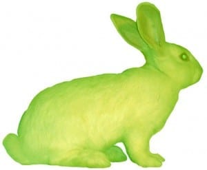 Rabbit Alba