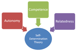 Online persuasion: Self-determination theory and autonomy, competence and relatedness