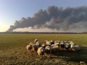 https://www.flickr.com/photos/omroepbrabant/