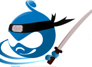 marcrobinsonegmailcom__drupalNinja
