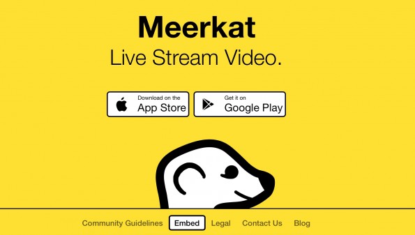Meerkat