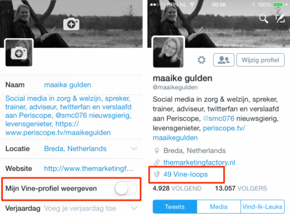 vine-video-twitter-profiel