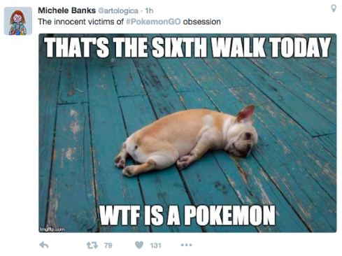 Ouderen hebben een hond, jongeren Pokémon Go en sommige hebben ze allebei