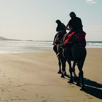 Digital nomads in Marokko: werken & surfen in Taghazout