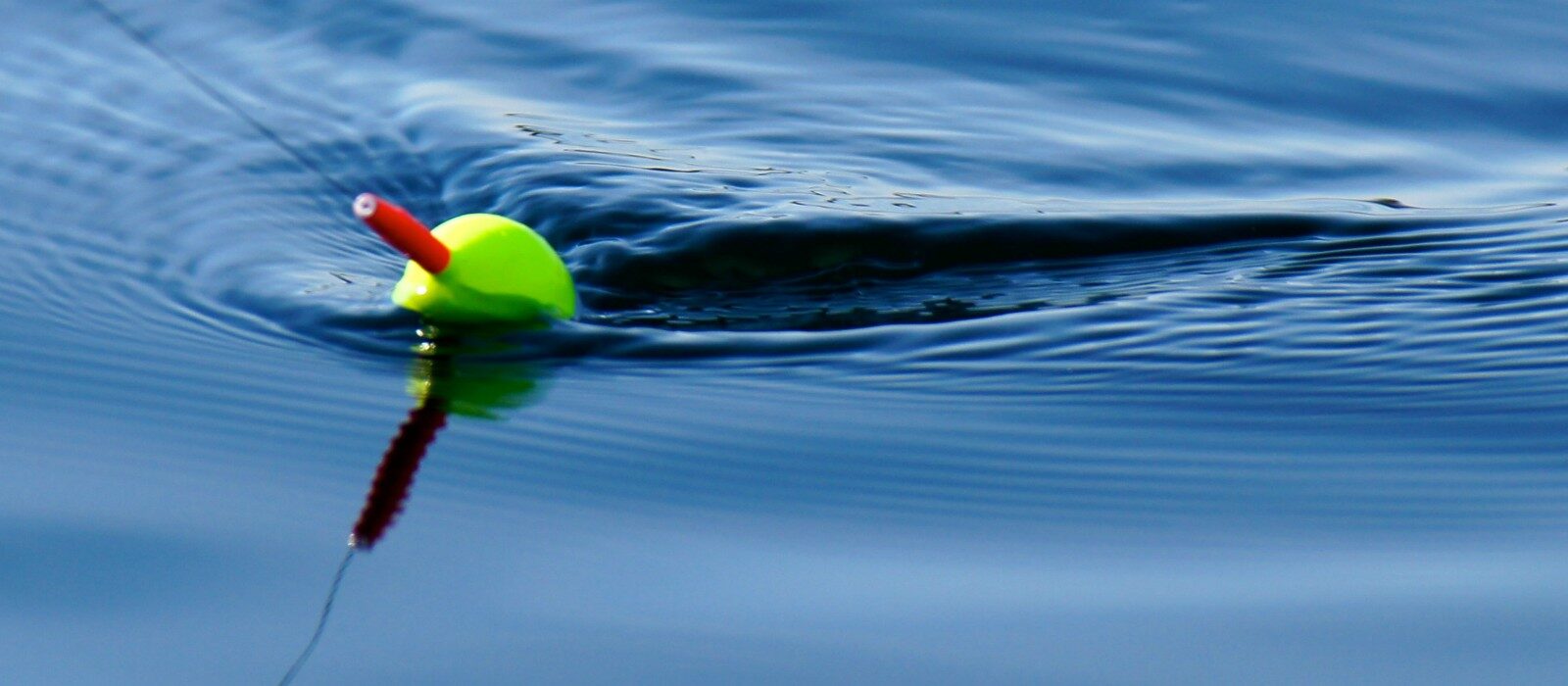 SEO & SEA: beste vrienden of grootste vijanden?