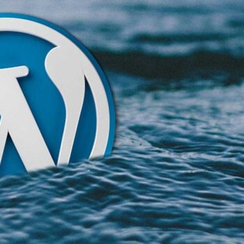 Zo beheer je jouw (groeiende) wagenpark van WordPress-websites