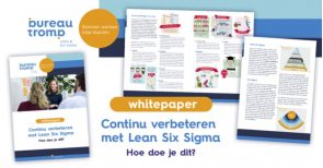 Screenshot van een whitepaper.
