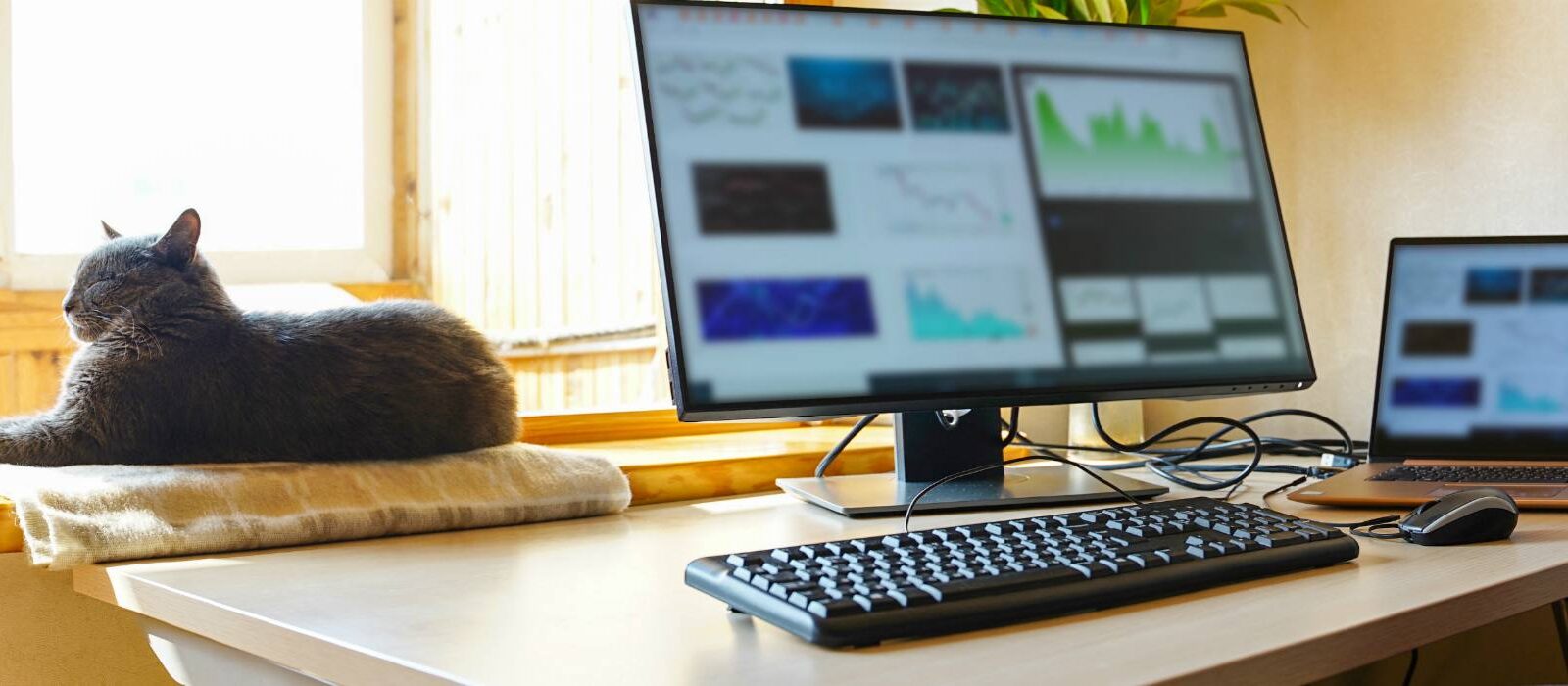 Meer synergie tussen SEO & SEA met Google Search Console
