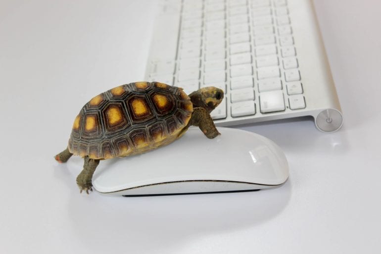 Wordpress langzaam