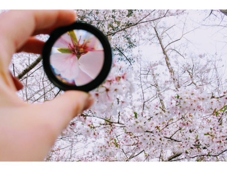 focus