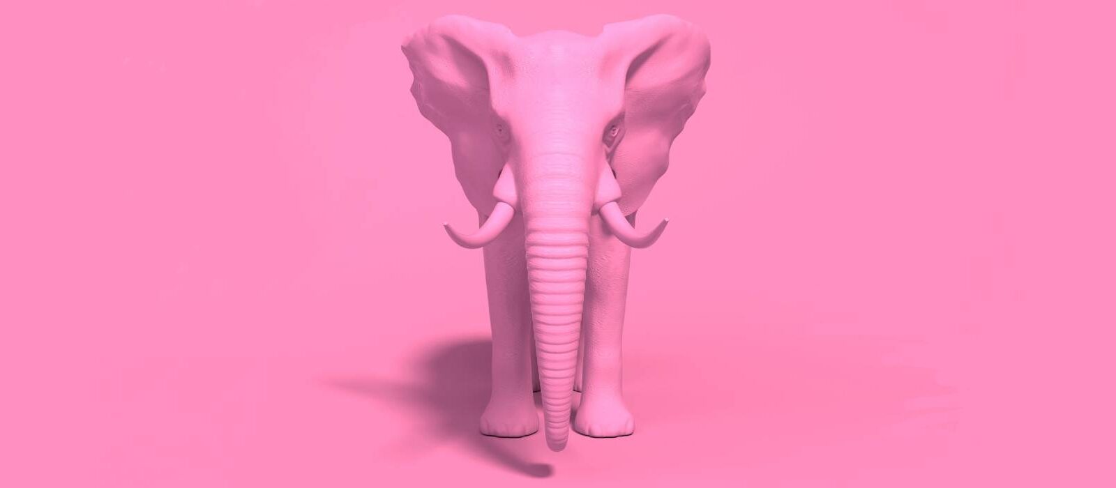 Denk niet aan een roze olifant! 10 marketingtips uit de gedragspsychologie