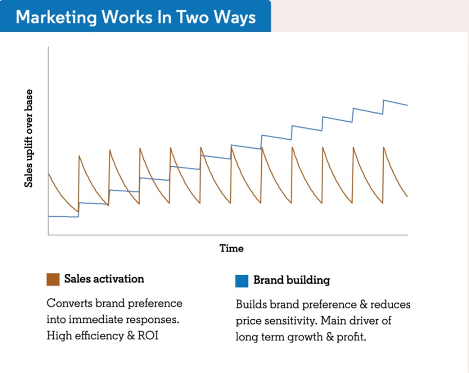 Het langetermijneffect van brand/sales activation in verhouding tot brand building. Een bekend model van Les Binet en Field, hier versimpeld weergegeven (bron: LinkedIn).