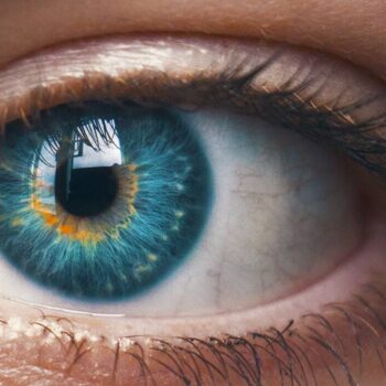 9 AI-tools die je leven een stuk makkelijker maken