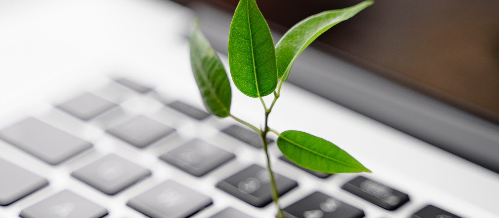 Tijd om digital advertising duurzamer te maken